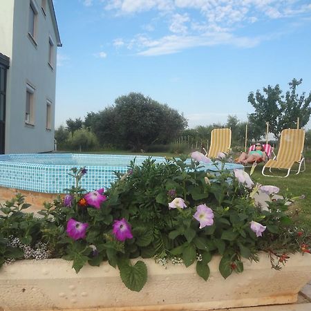 Apartments Zdravac أوماغ المظهر الخارجي الصورة