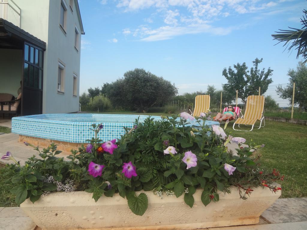 Apartments Zdravac أوماغ المظهر الخارجي الصورة